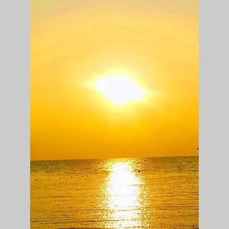 Fer Forze Have The Feeling Of Your Own