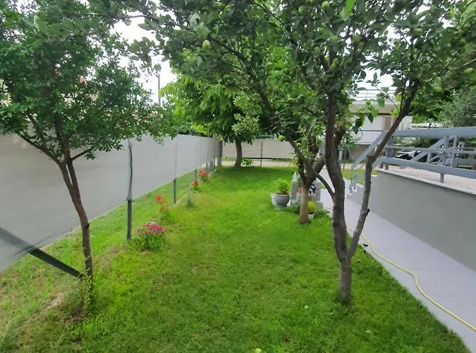 Fer Forze Have The Feeling Of Your Own * Asprovalta